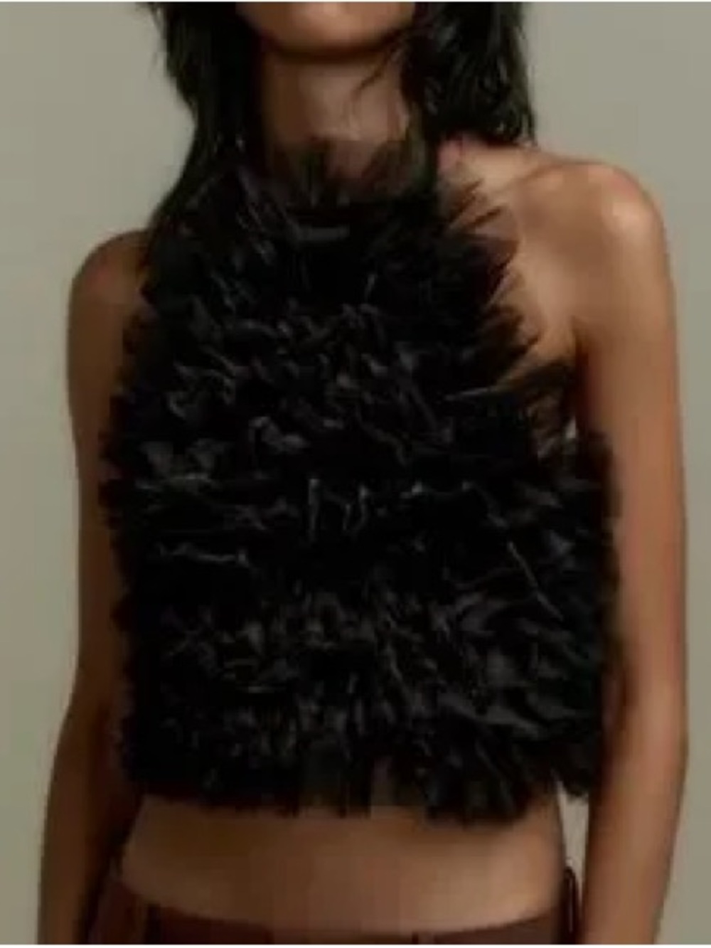 Black Nwt Zara ruffle tulle halter top - Picture 5 of 9